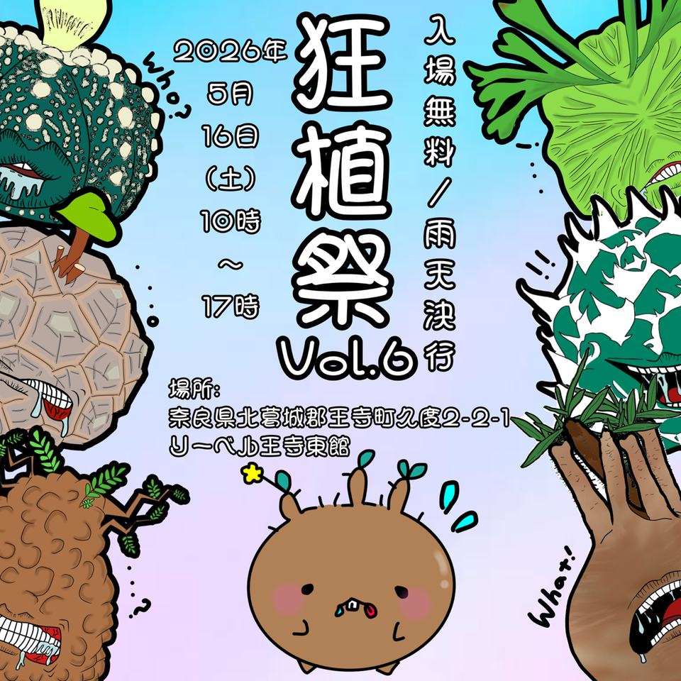 GW突入…