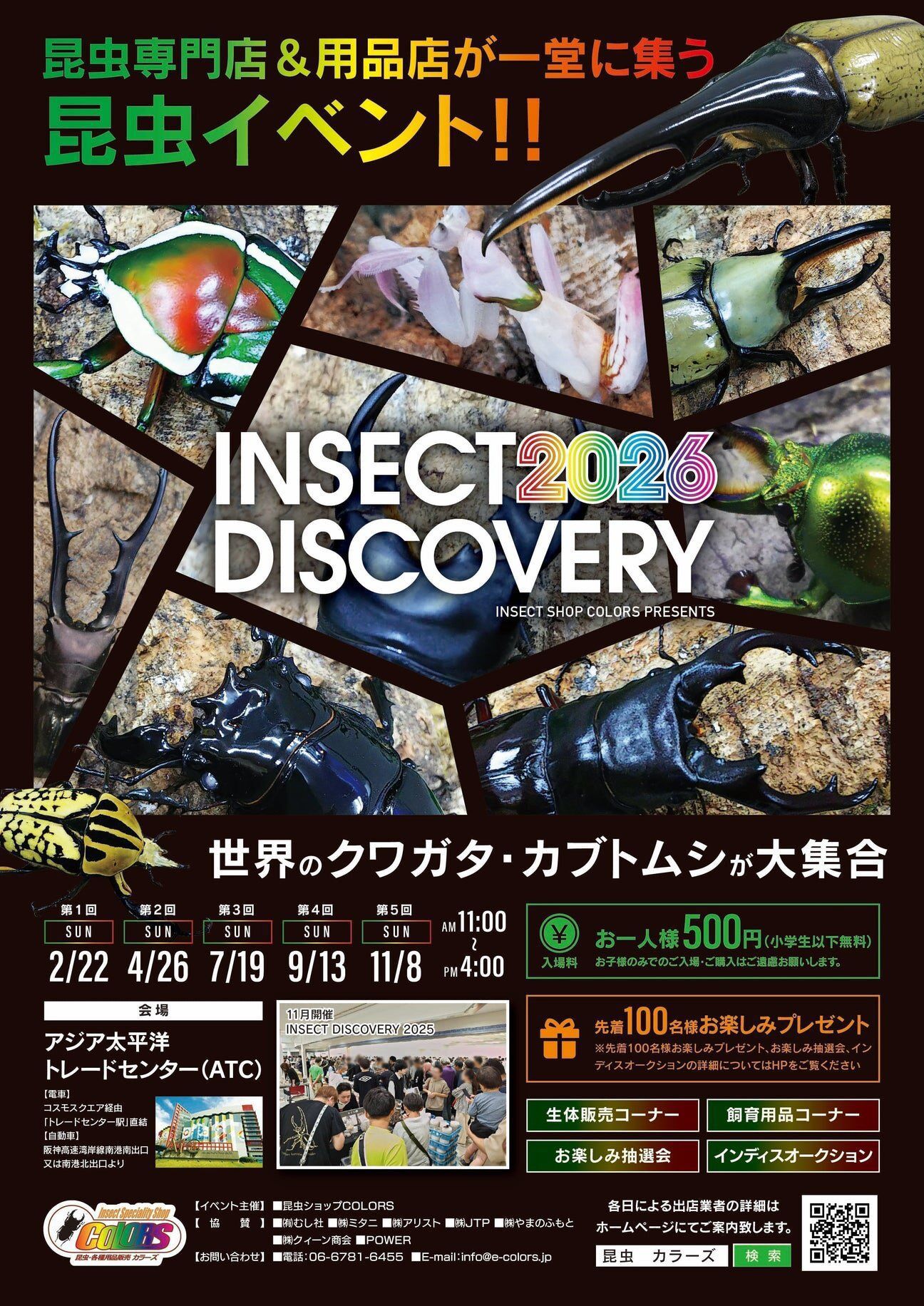 【明日開催！】インセクトディスカバリーに出展します！