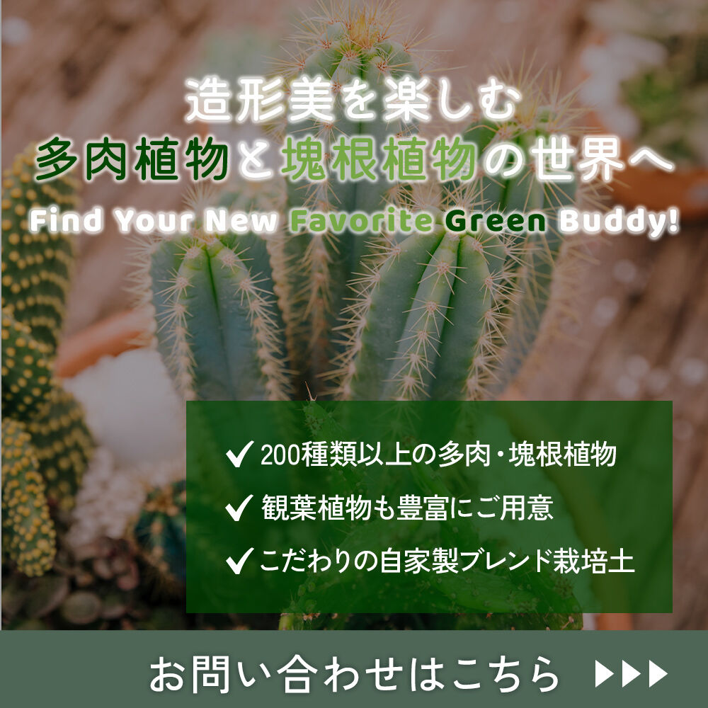 modal_banner